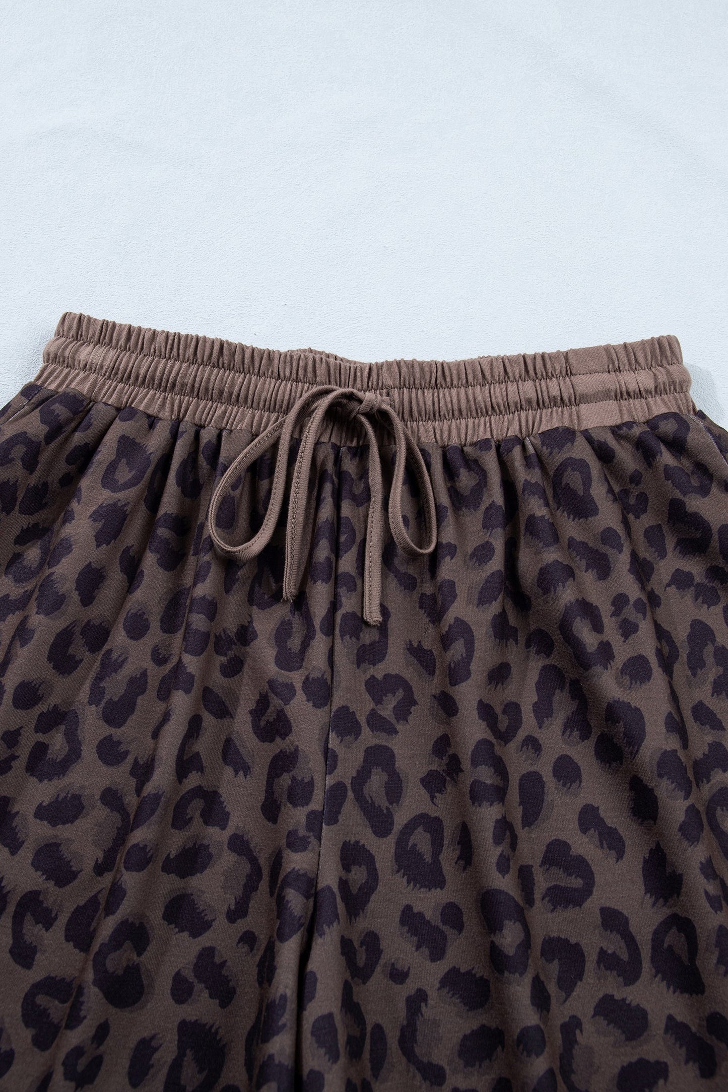 Brown V Neck Collar Leopard Printed 2pcs Short Set